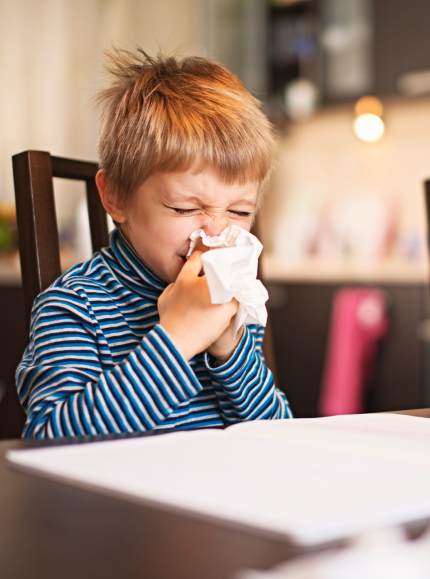 Test ALEX Jarosław Test ALEX Jarosław